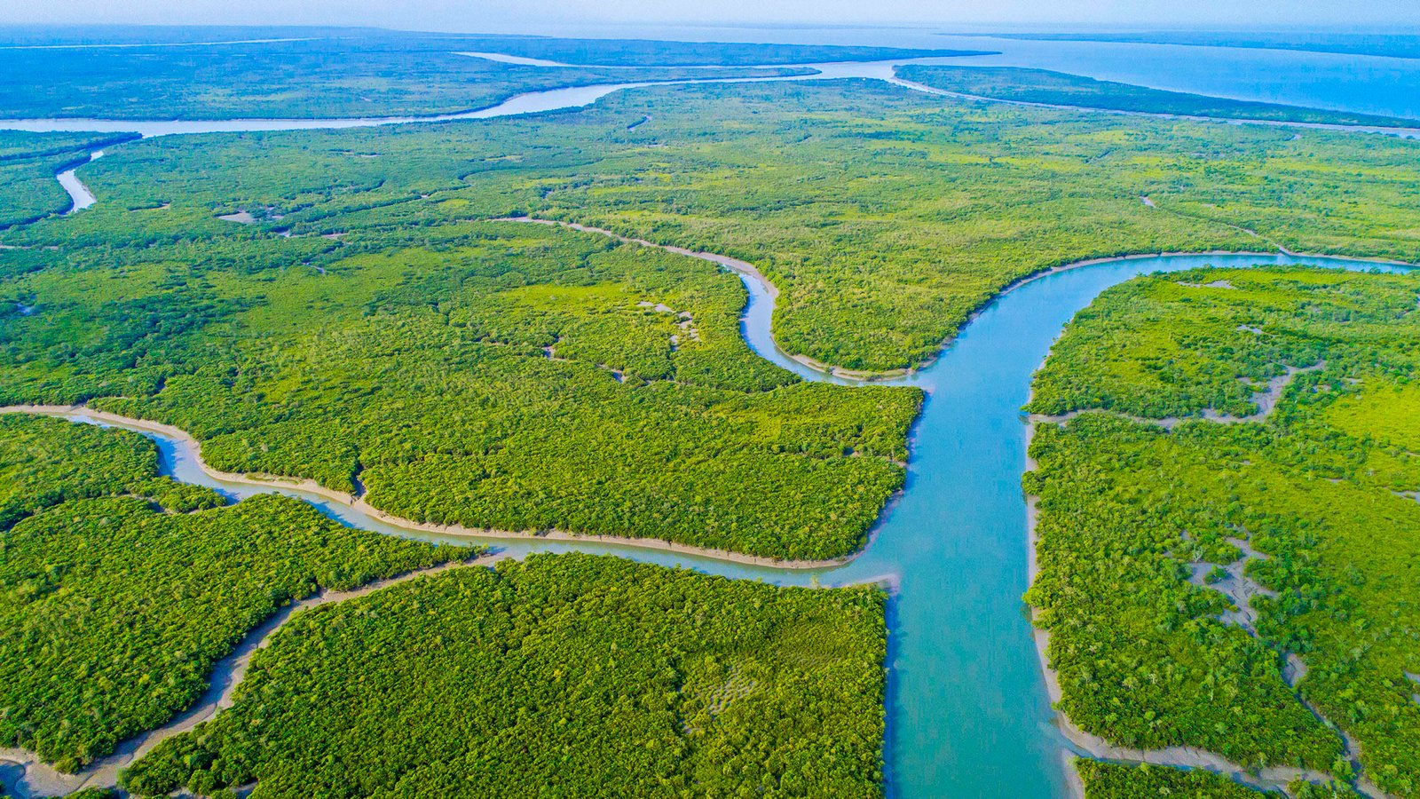 Sundarbans aerial waterways